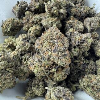MK Ultra - $100