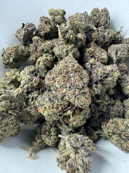 MK Ultra - $100