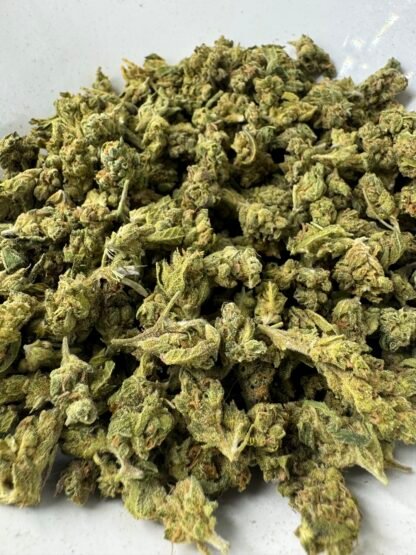 Fruit Roll Up $50 oz