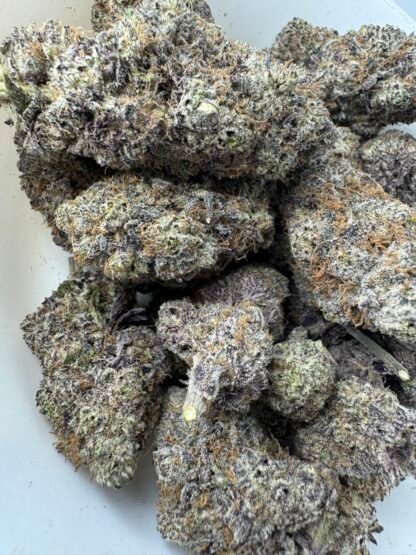 Apple Tartz - $100