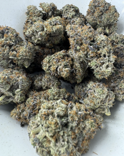 Bubba Kings El Jefe