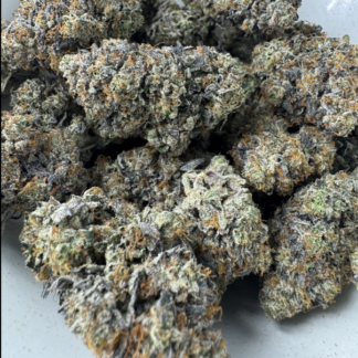 Cincopax – Pink Goo