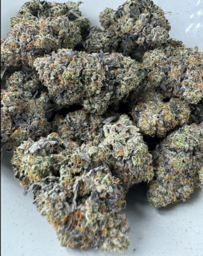 Cincopax – Pink Goo